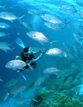Aquatic Adventures