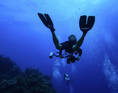 Professional Divers