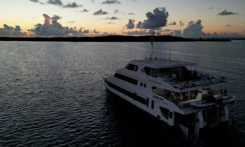 Liveaboards