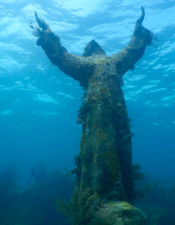 Mad About Diving