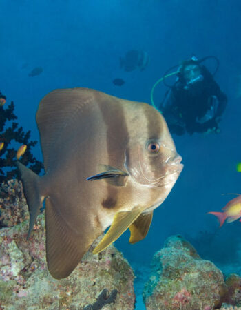 Explorer Ventures Maldives