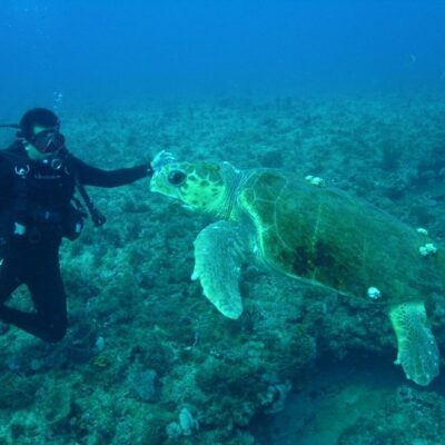Dive Shop Kissimmee