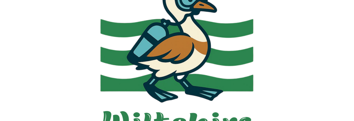 Wiltshire Scuba Training & Servicing Ltd